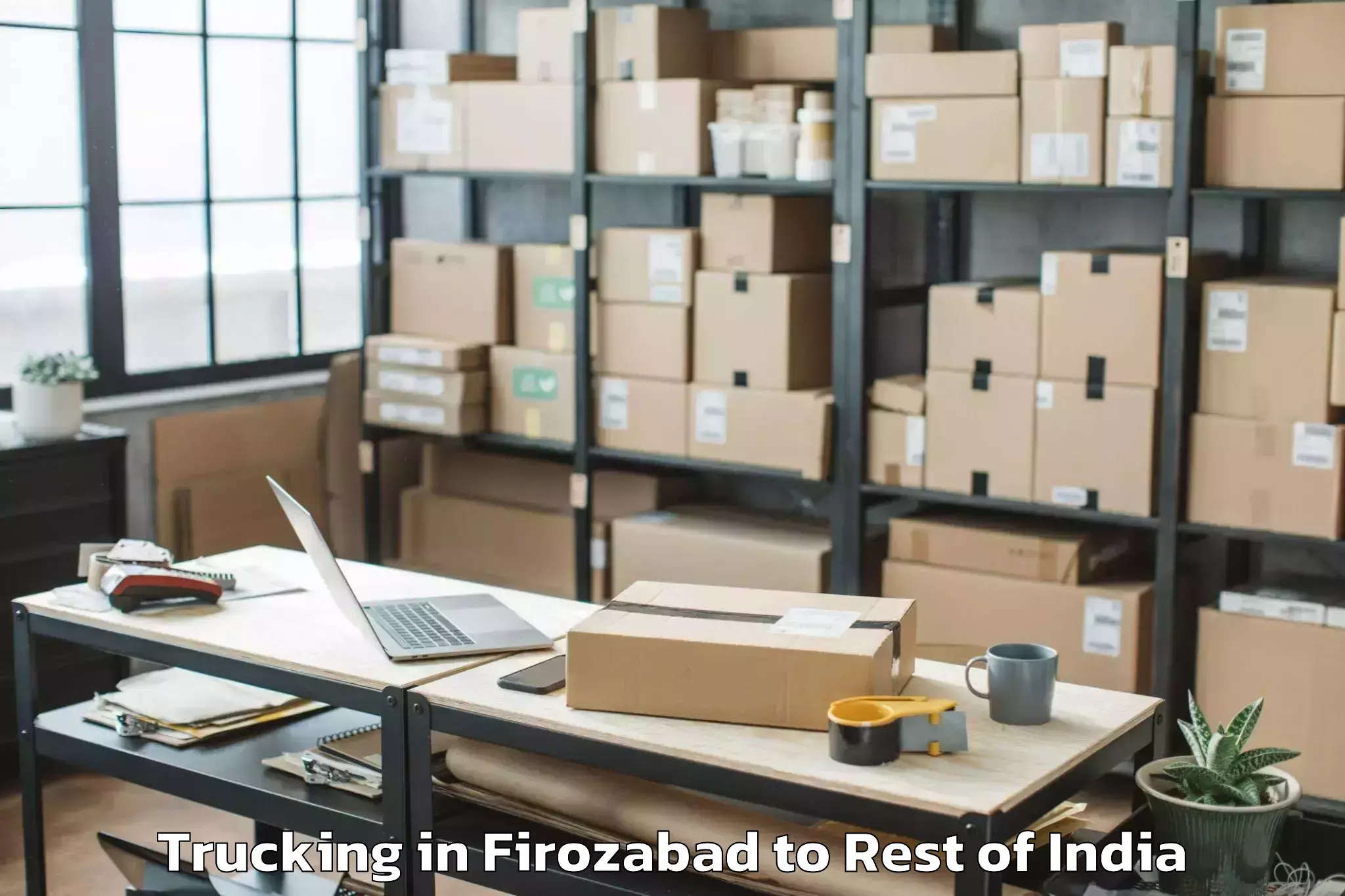 Reliable Firozabad to Gobara Ghati Trucking